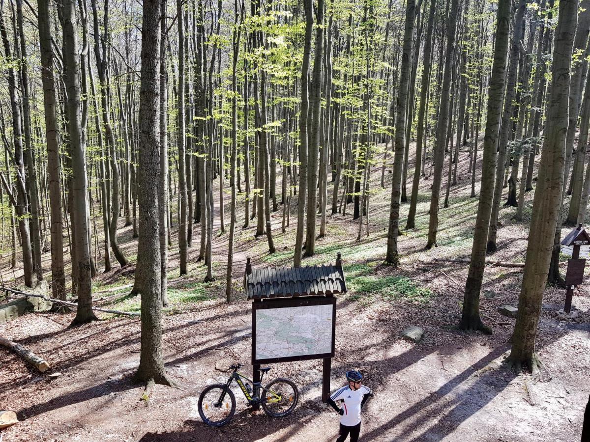 Agroturystyka Źródełko Swieta Katarzyna  Exterior foto